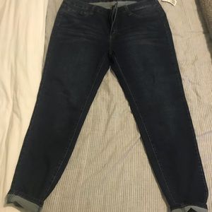 Forever 21 Plus Size (20) Skinny Jeans